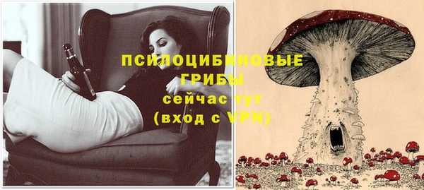 ECSTASY Нязепетровск