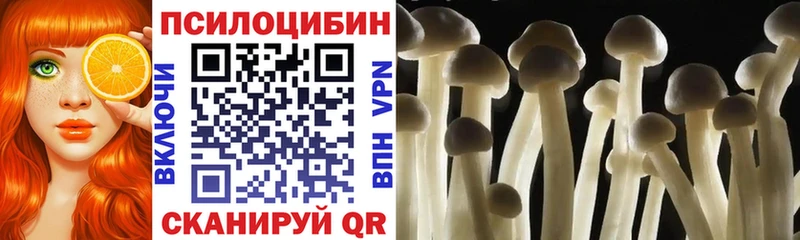 Купить где  Самара  Псилоцибиновые грибы Psilocybine cubensis 